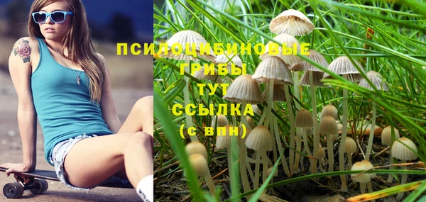 соль курить ск Пестово
