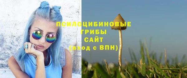 спиды Переславль-Залесский