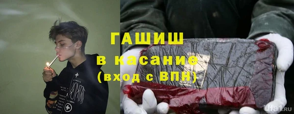 молекула духа Осташков