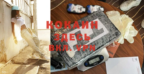 дживик Пересвет