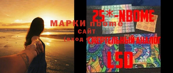дживик Пересвет