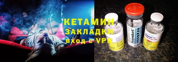 дживик Пересвет