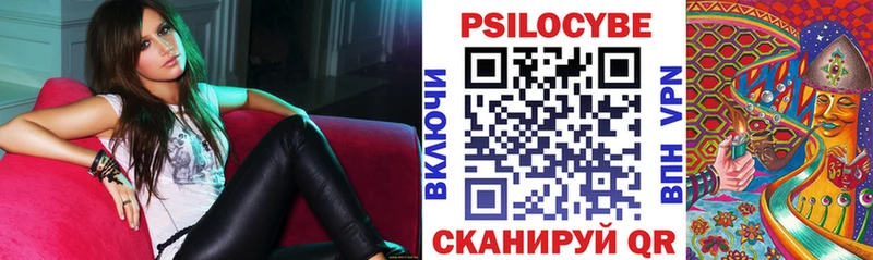 Купить закладки  Ульяновск  Псилоцибиновые грибы мицелий 